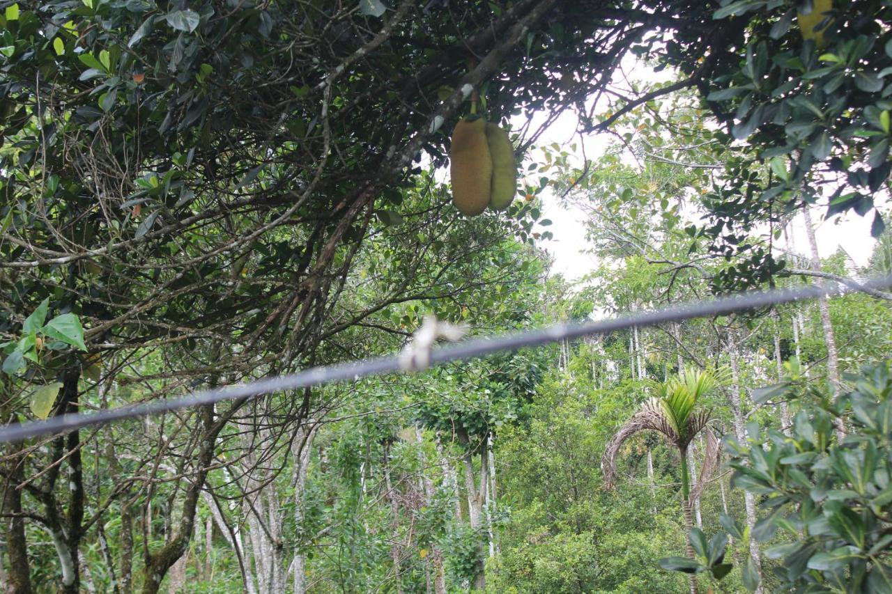 Arabian Nights Munnar Villa Exterior photo